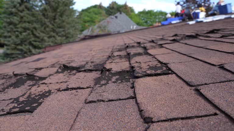 Best Sheet Metal Roofing  in Rockdale, TX