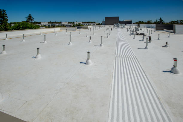 Best Roof Moss and Algae Removal  in Rockdale, TX